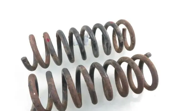 Mercedes-Benz C W202 Rear coil spring