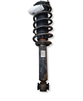 Peugeot 407 Front shock absorber with coil spring