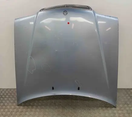 Engine bonnet/hood