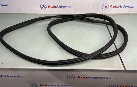 BMW X5 E70 Front door rubber seal 7220381 51767220381
