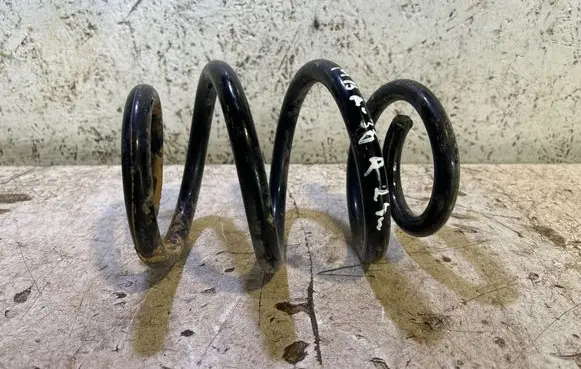 Rear coil spring