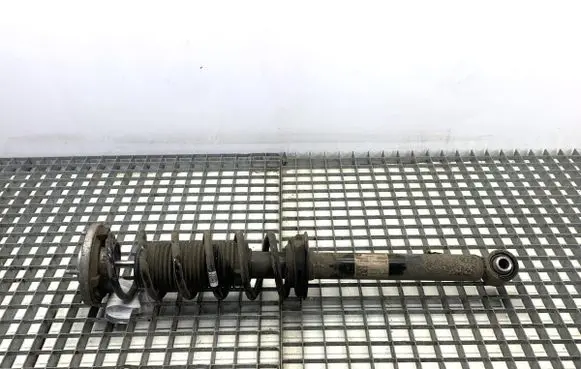 BMW 5 G30 G31 G38 Rear shock absorber/damper 6896015