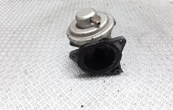 Seat Toledo III (5P) EGR valve 038131501AN