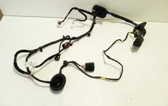 Front door wiring loom