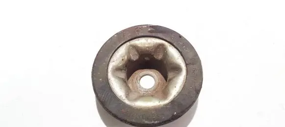 Coil spring mount