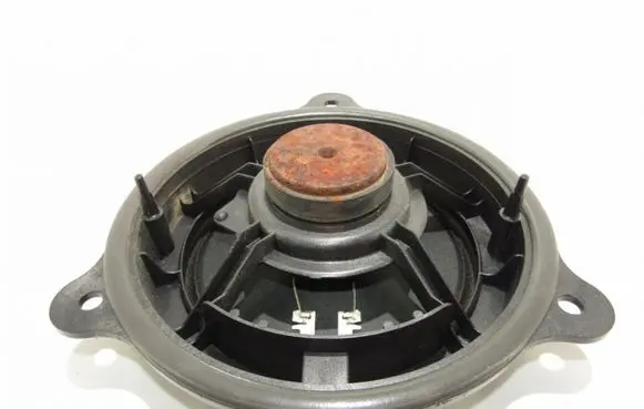 Nissan Juke I F15 Rear door speaker