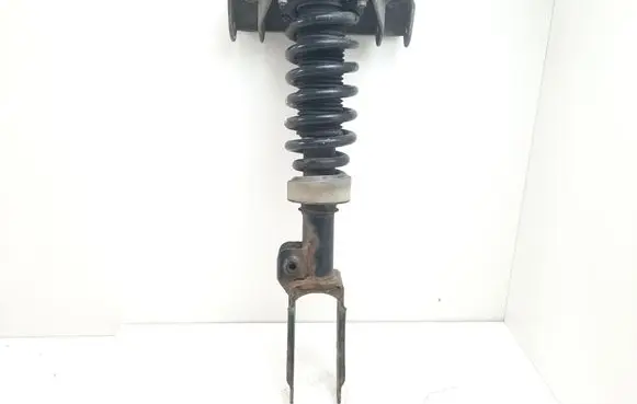 Porsche Cayenne (9PA) Front shock absorber with coil spring 7L5412021AD