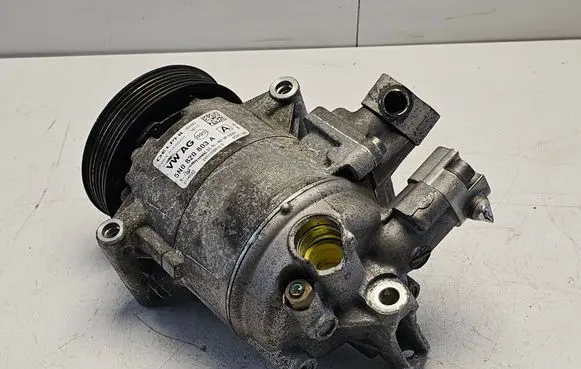 Volkswagen Polo V 6R Air conditioning (A/C) compressor (pump) 5N0820803A 01140562 04231022010D