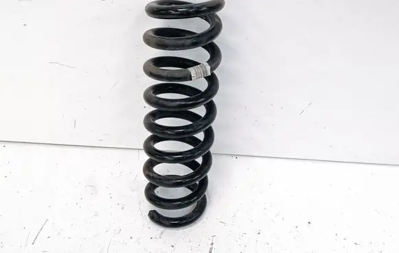 Rear coil spring