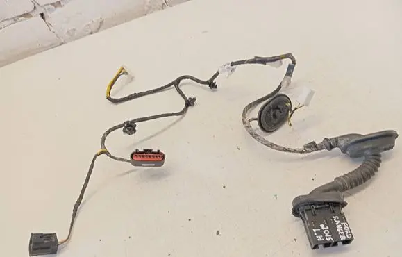 Rear door wiring loom