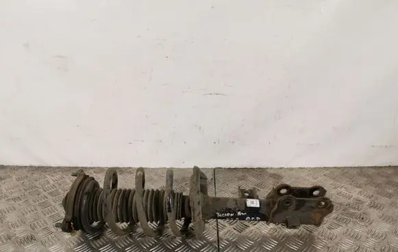 Hyundai Tucson TL Front shock absorber with coil spring