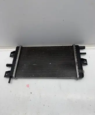 Dacia Spring Coolant radiator 214109411R 20210114696