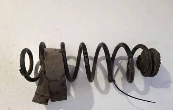 Rear coil spring