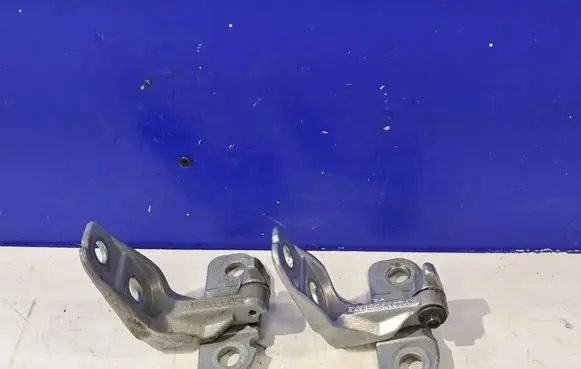 Jaguar F-Type Front door hinges set EX53228A65AC