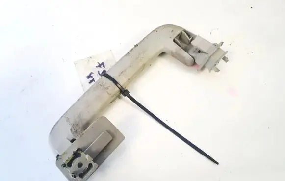 Ford Focus Rear interior roof grab handle