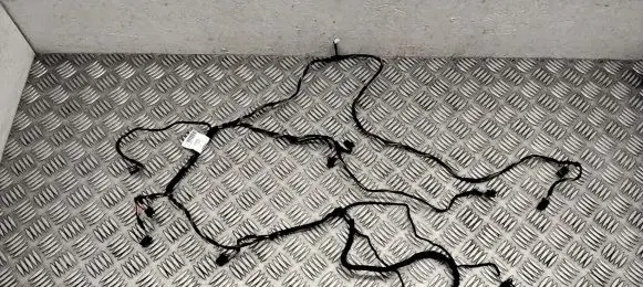 Audi Q5 SQ5 Other wiring loom 8110099 EF085004