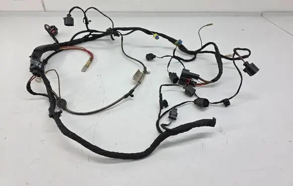 Other wiring loom