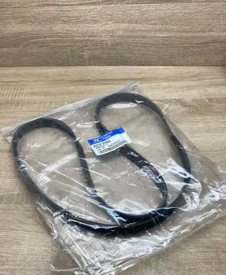 Hyundai i10 Alternator belt 2521207002