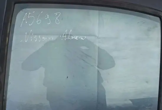 Rear door window glass