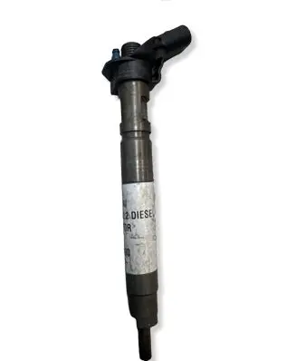 Hyundai Santa Fe Fuel injector 0445116018