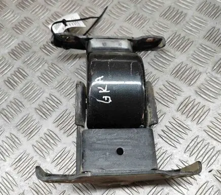 Opel Vivaro Rear door lower hinge 904101690R 93867626
