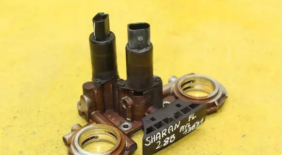 Volkswagen Sharan Timing belt/chain tensioner 066109210D