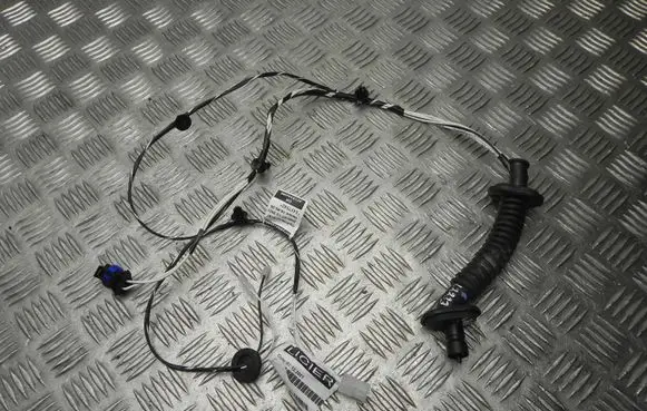Ligier JS 60 Front door wiring loom 1417542C