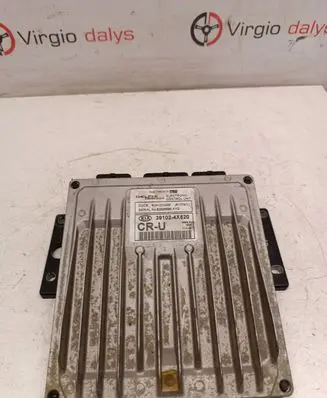 KIA Carnival Engine control unit/module 391024x520