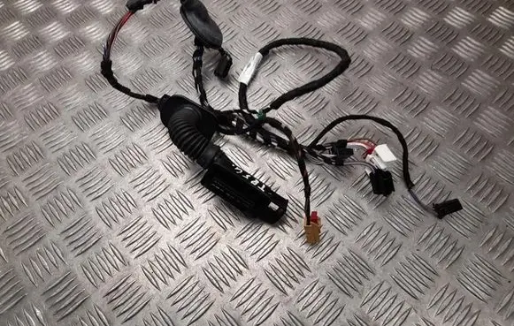 Volkswagen PASSAT B8 Front door wiring loom 3G9971694F