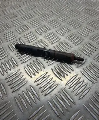 Renault Megane III Fuel injector EJBR05601D 1118EC30W04