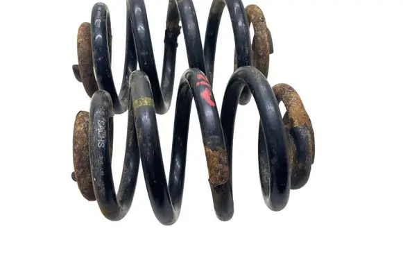Rear coil spring