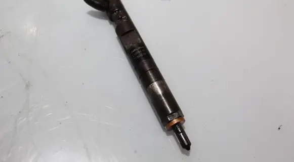 Renault Kangoo II Fuel injector EJBR041010