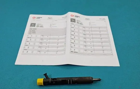 Renault Megane II Fuel injector EJBR01801Z IMPRK1439399