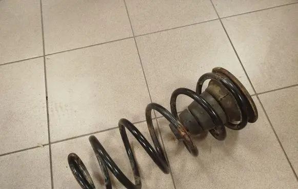 Toyota Land Cruiser (J120) Rear coil spring