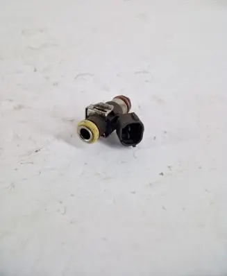 Volkswagen Caddy Fuel injector 110r000120