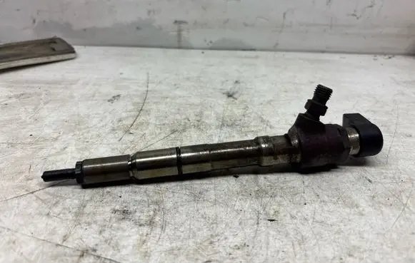 Skoda Roomster (5J) Fuel injector 
