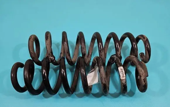 Rear coil spring