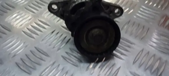 Dacia Logan I Alternator belt tensioner pulley ZAMIENNIK