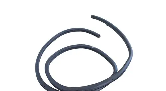 Nissan Juke I F15 Rubber seal rear door 