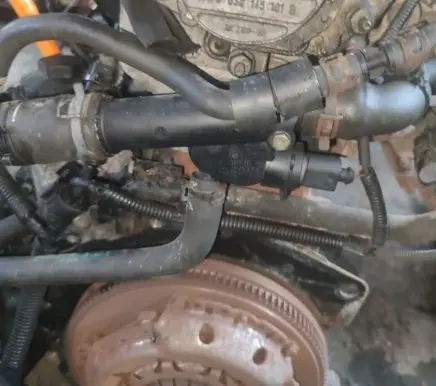 Seat Ibiza III (6L) Engine coolant pipe/hose 038121133