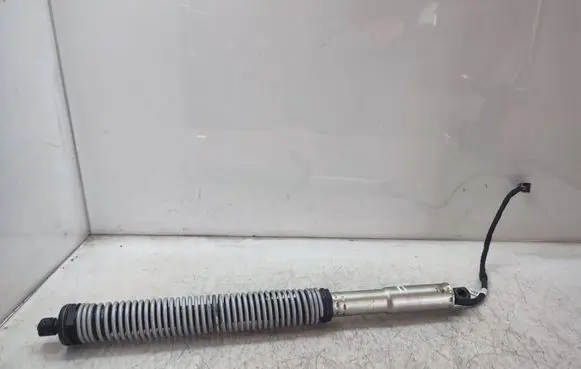 Tailgate/trunk strut/damper