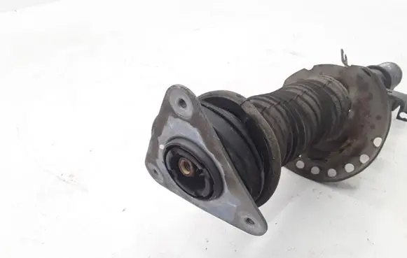 Renault Zoe Front shock absorber/damper 543027411R