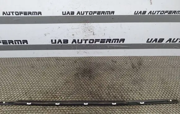 KIA Rio Rear door glass trim molding