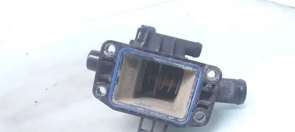 Thermostat/thermostat housing