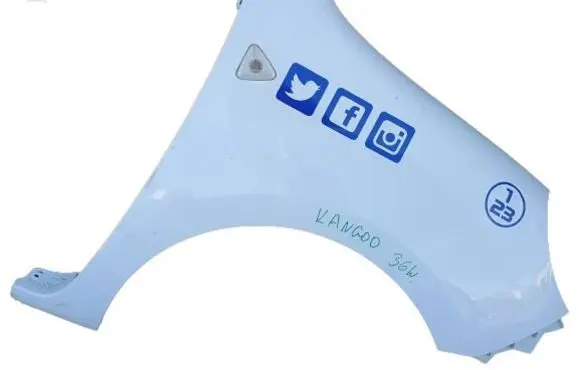 Renault Kangoo II Fender 631002009r-4car