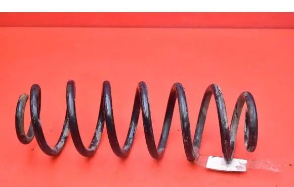 Volkswagen Tiguan Rear coil spring 