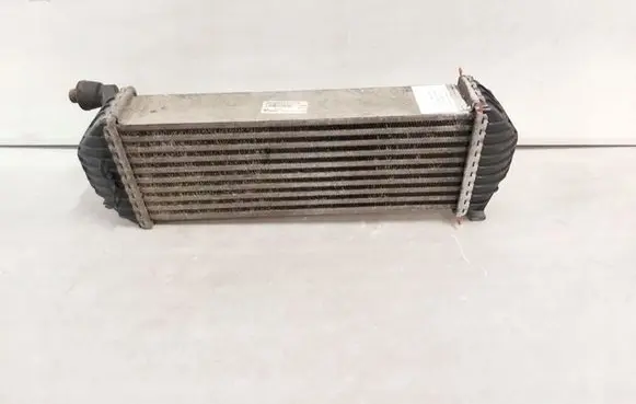 Renault Kangoo II Intercooler radiator 8200427469