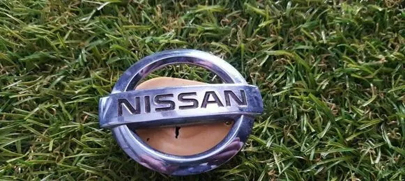 Nissan Leaf I (ZE0) Other badges/marks 