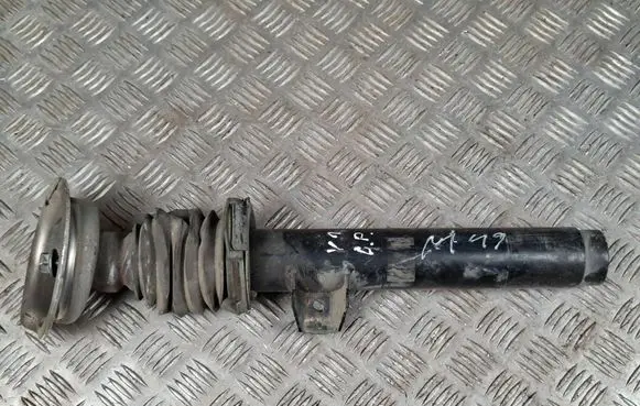 BMW X1 E84 Front shock absorber/damper 6851334