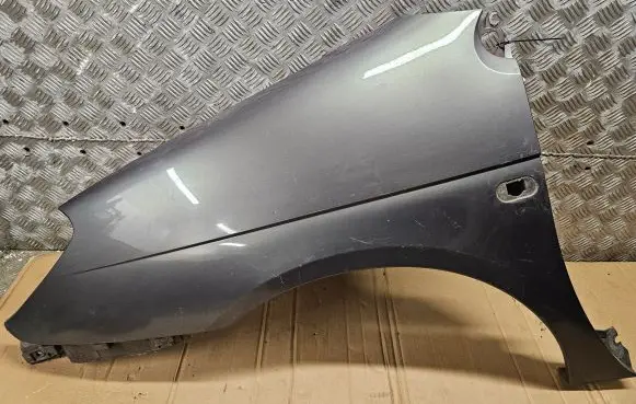 Renault Scenic I Fender